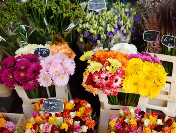 Słynny Amsterdam Rynek Kwiatowy Bloemenmarkt Gerbery Róże Inne Kwiaty Ogrodnictwo — Zdjęcie stockowe