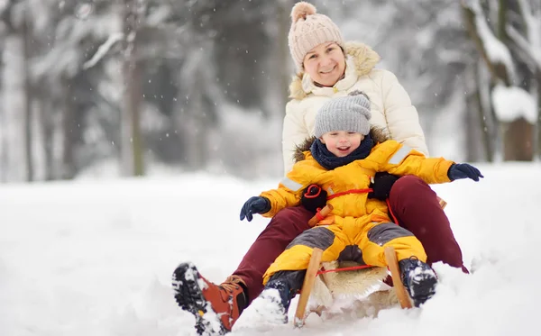 Little Boy Mother Grandmother Nanny Sliding Park Snowfall Outdoor Winter — Stock Photo, Image