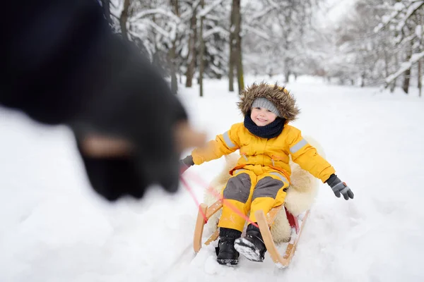 Mały Chłopiec Ciesząc Się Kulig Winter Park Zewnątrz Zima Wypoczynku — Zdjęcie stockowe