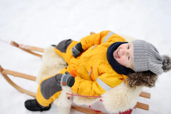 Küçük Çocuk Kış Park Kızağı Binmek Zevk Açık Kış Aktiviteleri — Stok fotoğraf