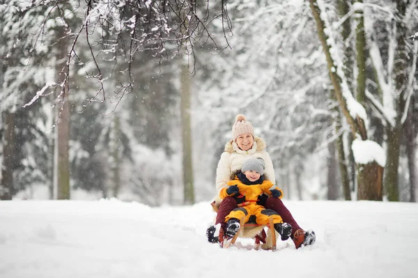 Маленький Хлопчик Мати Бабуся Немовля Ковзають Парку Під Час Снігопаду — стокове фото