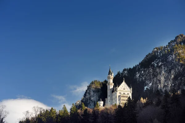 Espléndida Escena Del Castillo Real Neuschwanstein Alrededores Baviera Alemania Deutschland — Foto de Stock