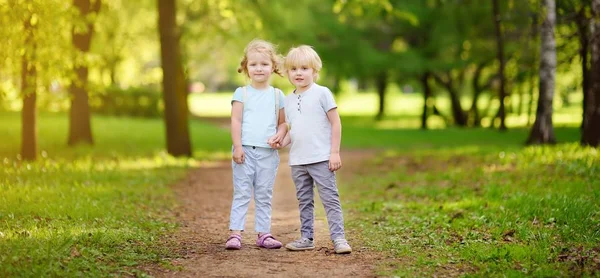 日当たりの良い夏の公園で遊ぶかわいい小さな子供たち幼児の男の子と女の子 親友たちです 自然に一緒に幼児の兄弟です 子供が手を繋いでいます — ストック写真