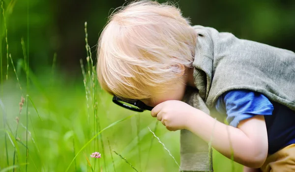 Charming Kid Exploring Nature Magnifying Glass Little Boy Looking Tree — Stock Photo, Image