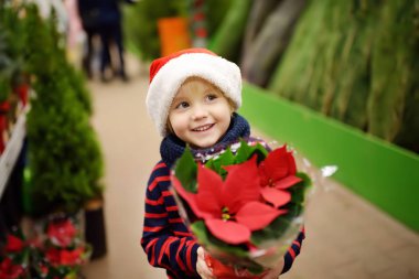 Noel Baba şapkası bir Yılbaşı çiçeği tutan şirin küçük çocuk. Aile Noel alışveriş. Geleneksel Noel dekorasyon.