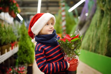 Noel Baba şapkası bir Yılbaşı çiçeği tutan şirin küçük çocuk. Aile Noel alışveriş. Geleneksel Noel dekorasyon.