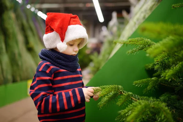 Cute little boy chooses christmas tree on market. Family Christmas shopping. Traditional Xmas decoration.