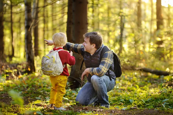 Isä Hänen Pieni Poikansa Kävelevät Retkeilyretkillä Metsässä Auringonlaskun Aikaan Perheen — kuvapankkivalokuva