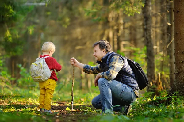 Father His Little Son Walking Hiking Activities Forest Sunset Family — Stock Photo, Image