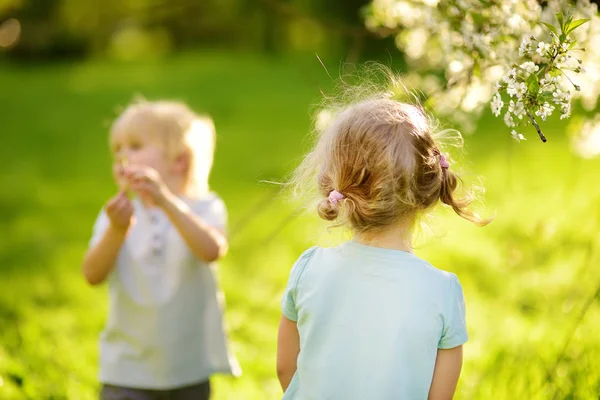 Schattige Kleine Kinderen Spelen Het Zonnige Zomerpark Kleuters Jongen Meisje — Stockfoto