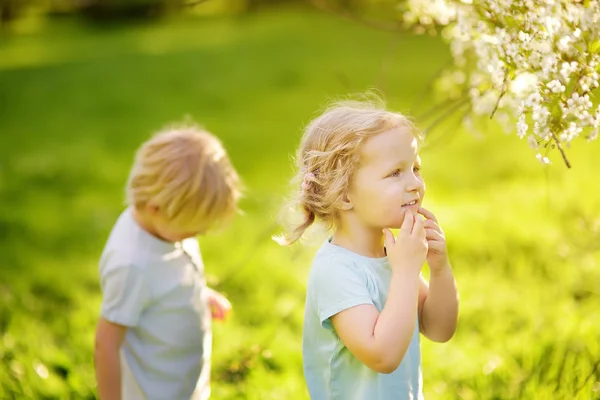 Милые Маленькие Дети Играют Солнечном Летнем Парке Мальчик Девочка Дошкольном — стоковое фото