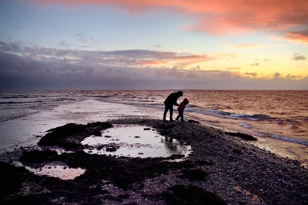 父と息子で エストニアの南端で夕日で海岸に沿って歩きます 子供たちと一緒に家族旅行 — ストック写真