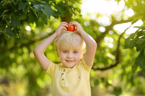 Niño Divirtiéndose Con Tomate Rojo Cabeza Jardín Doméstico Niños Juego — Foto de Stock