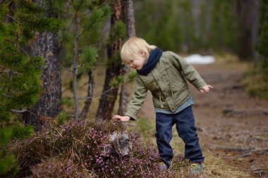 ?Ute küçük çocuk baharda Heather Bush İsviçre Milli Parkı'nda inceliyor. Etkin aile zamanı açık havada. Çocuklu Hiking. Doğanın çalışma. Genç doğa bilimci.