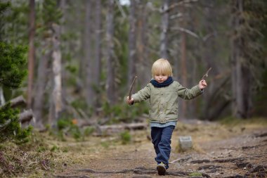 Sevimli küçük çocuk İsviçre Milli parkta bahar üzerinde yürür. Doğa üzerinde etkin aile zamanı. Küçük çocuklarla hiking.