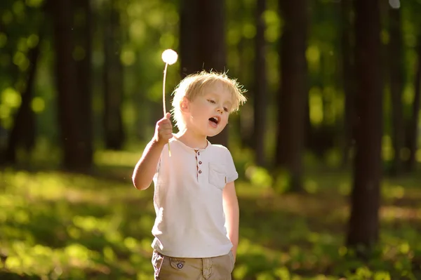 Kleiner Junge Spielt Mit Löwenzahnflaum Wünschen Kinderspaß Sommer Freien — Stockfoto