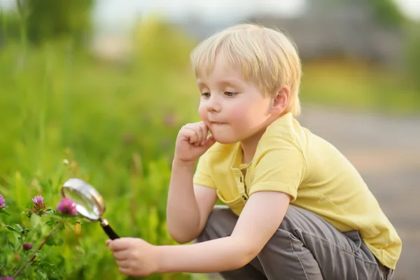 Charming Kid Exploring Nature Magnifying Glass Little Boy Looking Flower — Stock Photo, Image