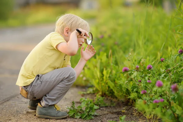 Encantador Niño Explorando Naturaleza Con Lupa Niño Mirando Hierba Con — Foto de Stock