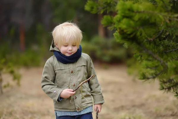 Netter Kleiner Junge Spaziert Schweizer Nationalpark Frühling Aktive Familienzeit Der — Stockfoto