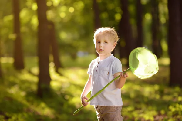 Carino Bambino Cattura Farfalle Con Scoop Net Prato Soleggiato Studio — Foto Stock