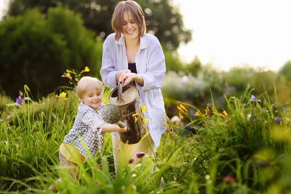 美しい若い女性と彼女のかわいい息子の夏の晴れた日に庭で植物に水をまきます 小さな子供や家族と園芸活動 — ストック写真