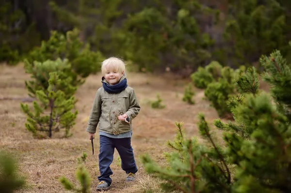 Netter Kleiner Junge Spaziert Schweizer Nationalpark Frühling Aktive Familienzeit Der — Stockfoto