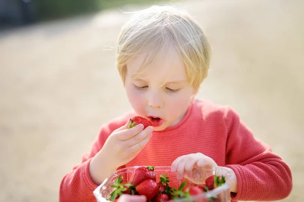 Milý Chlapeček Jíst Jahody Venku Zdravé Vegetarián Nebo Vegan Potraviny — Stock fotografie