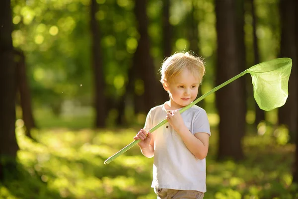 Cute Little Boy Catches Butterflies Scoop Net Sunny Meadow Study — Stock Photo, Image