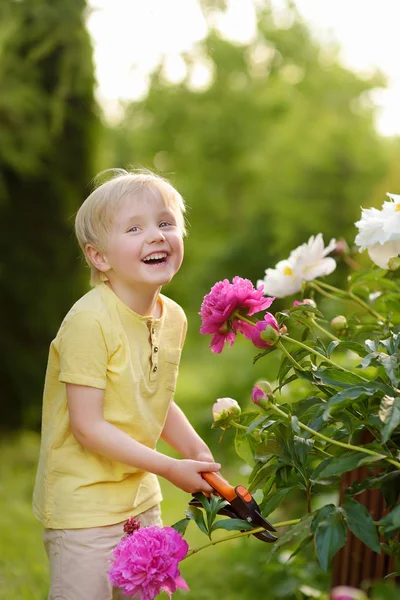 Roztomilý Malý Chlapec Pracující Secateur Domácí Zahradě Zemědělství Zahradnictví Dětství — Stock fotografie