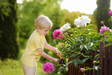 Sevimli küçük çocuk secateur iç bahçe ile çalışma. Tarım, bahçecilik ve çocukluk kavramı