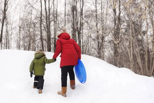 Kind Genieten Van Paardrijden Ijs Dia Winter Jongetje Met Zijn — Stockfoto