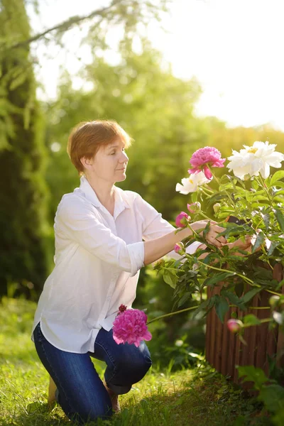 Jardinero Femenino Mediana Edad Mujer Que Trabaja Con Tijera Jardín —  Fotos de Stock
