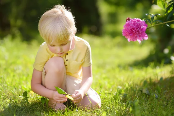可爱的小男孩玩树叶在阳光明媚的绿色草坪上 花坛与牡丹附近 园艺和童年概念 — 图库照片