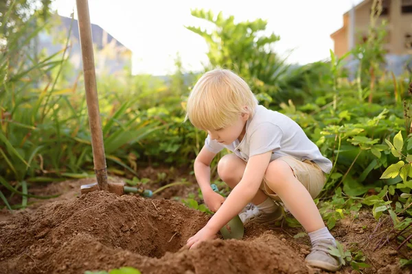 Niño pequeño cavar pala en el patio trasero en verano día soleado. Mamá pequeña ayudante . —  Fotos de Stock