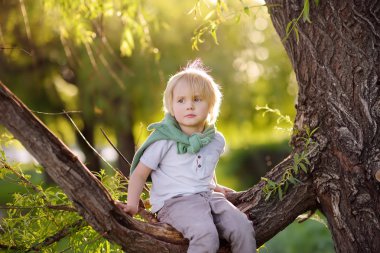 Little boy is sitting on a branch of tree and is dreaming. Child's games. Active family time on nature. Hiking with little kids. clipart
