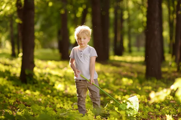 かわいい男の子は日当たりの良い牧草地にスクープネットで蝶をキャッチします 自然の若い探検家 好奇心旺盛な子供のための夏の活動 — ストック写真