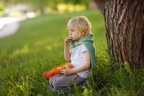 Jongetje is het eten van zijn vegetarische lunch op het gras in het park bij de zomer. Straatvoedsel voor childs. Gezonde snacks voor kinderen. — Stockfoto