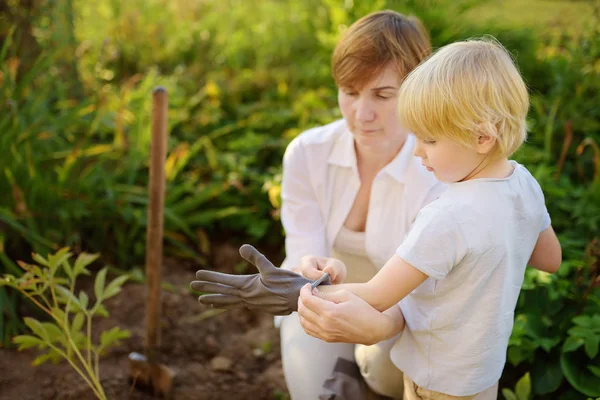 La femme aide le petit garçon à enfiler des gants de jardin pour creuser un lit de fleurs dans la cour arrière. La petite assistante de maman . — Photo