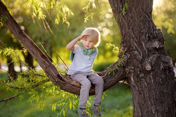 Il bambino siede su un ramo d'albero e guarda in lontananza. Giochi per bambini. Tempo di famiglia attivo sulla natura. Escursioni con bambini piccoli . — Foto Stock