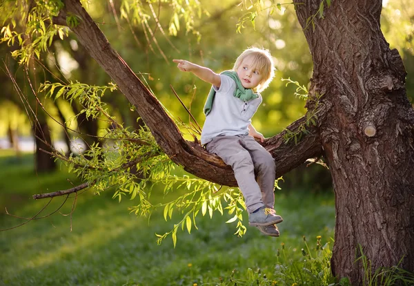 Kleine jongen zit op een tak van een grote boom en wijst met zijn vinger. Kind van de games. Actieve familie tijd op aard. Wandelen met kleine kinderen. — Stockfoto