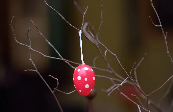 Easter decorations on the street of small town in France. Easter painted egg hanging on a branch of tree. — Stock Photo, Image