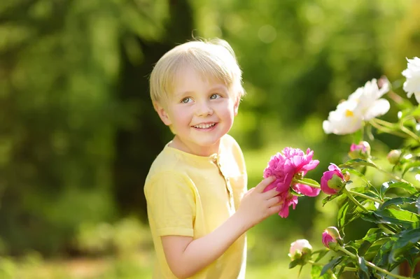 Roztomilý malý chlapec podívat na úžasné fialové a Bílé pivoňky ve slunné zahradě domácí — Stock fotografie