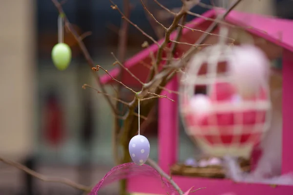 Easter decorations on the street of small town of France. Easter painted eggs hanging on a branch. — Stock Photo, Image