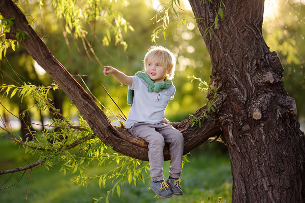 Little boy sits on a branch of a big tree and points with his finger. Child's games. Active family time on nature. Hiking with little kids.