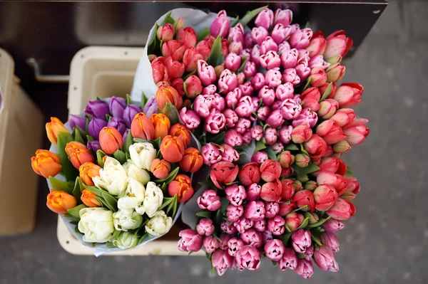 Slavný Amsterdam květinový trh (Bloemenmarkt). Vícebarevné tulipány. Symbol Nizozemska. — Stock fotografie