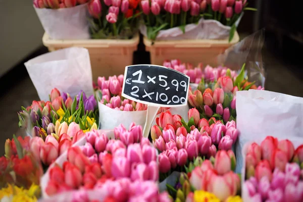 The famous Amsterdam flower market (Bloemenmarkt). Multicolor tulips. The Symbol Of The Netherlands.