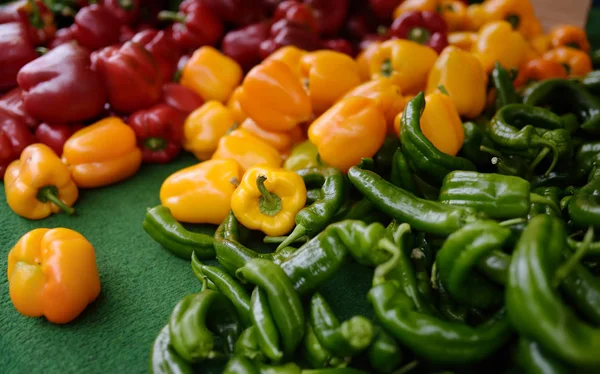 Färska friska bio röd, gul paprika och grön paprika på jordbrukare jordbruks marknaden — Stockfoto
