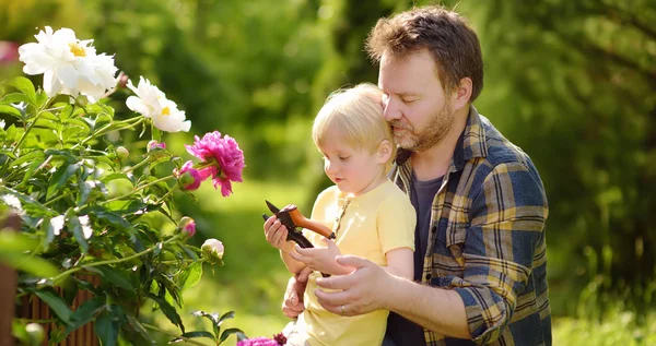 Netter kleiner Junge mit seinem Vater, der mit der Gartenschere im heimischen Garten arbeitet. — Stockfoto