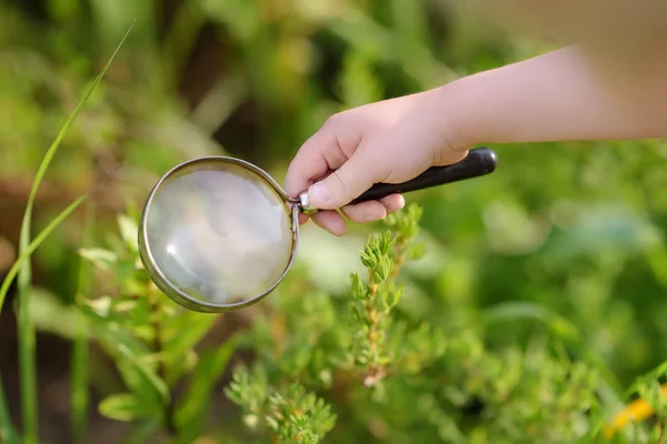 Kid utforskar naturen med förstoringsglas. Närbild. — Stockfoto