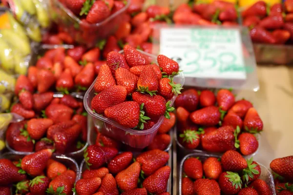 Sweet fresh strawberry on farmer agricultural market — Stock Photo, Image